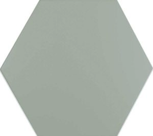 Ash Gray